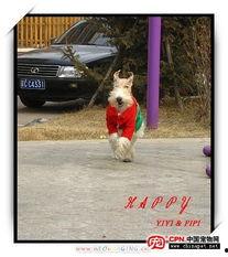 疯玩的图片,捕捉欢乐瞬间的美好瞬间