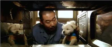 疯狂的石头搞笑,笑料百出,欢乐无限