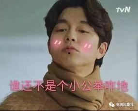 孔侑 表情包,演绎幽默魅力,诠释生活百态