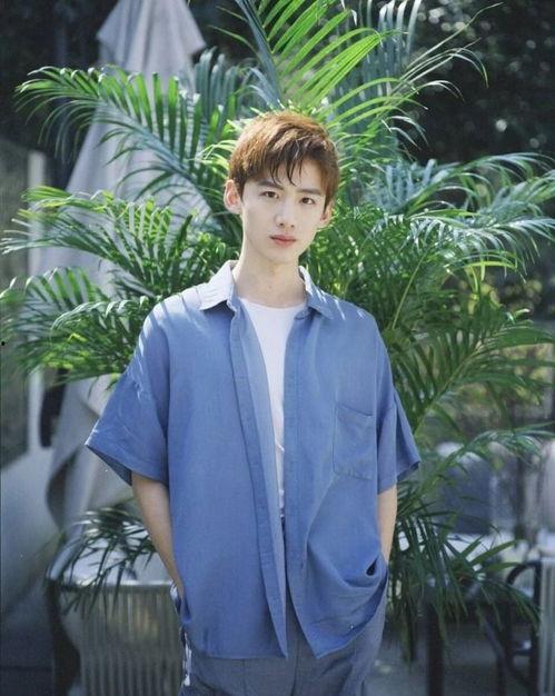 白敬亭背景图,探寻明星背后的魅力