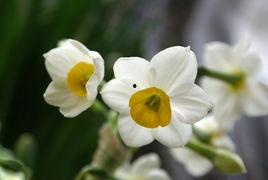 出阁图片,揭秘古代女子出阁盛况