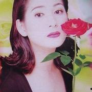 演员何玫瑰,光影交织下的璀璨星途