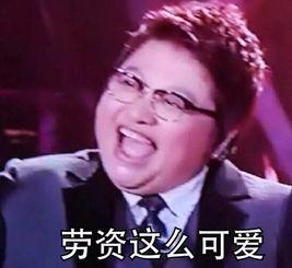 韩红表情包 下跪,致敬还是讽刺?