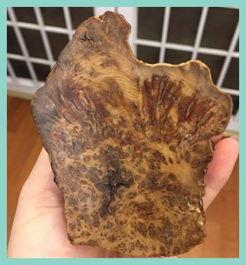 瘤子的图片,微观视角下的病理特征解读